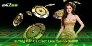 huong-dan-ca-cuoc-live-casino-ball88